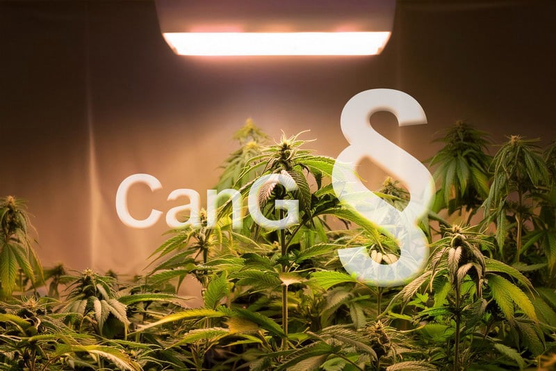 Rubrik CanG (Symbolbild)